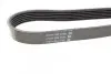 Ремінь П-клиновий Dayco DAYCO 6PK1744 (фото 3)