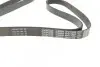 Ремінь П-клиновий Dayco DAYCO 6PK1750 (фото 2)