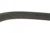 Ремінь П-клиновий Dayco DAYCO 6PK1750 (фото 3)