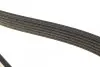 Ремінь П-клиновий Dayco DAYCO 6PK1750 (фото 4)