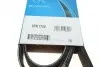 Ремінь П-клиновий Dayco DAYCO 6PK1750 (фото 6)