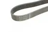 Ремінь П-клиновий Dayco DAYCO 6PK1755 (фото 3)