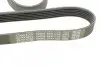 Ремінь П-клиновий Dayco DAYCO 6PK1755 (фото 4)