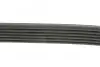 Ремінь П-клиновий Dayco DAYCO 6PK1815 (фото 6)