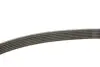 Ремінь П-клиновий Dayco DAYCO 6PK1830 (фото 3)