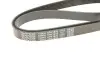 Ремінь П-клиновий Dayco DAYCO 6PK1830 (фото 4)