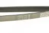 Ремінь П-клиновий Dayco DAYCO 6PK1835 (фото 3)