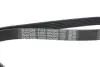 Ремінь П-клиновий Dayco DAYCO 6PK2063 (фото 4)
