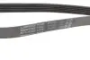 Ремінь П-клиновий Dayco DAYCO 6PK2070 (фото 3)