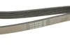 Ремінь П-клиновий Dayco DAYCO 6PK2080 (фото 5)