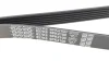 Ремінь П-клиновий Dayco DAYCO 6PK2100 (фото 3)