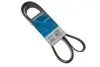 Ремінь П-клиновий Dayco DAYCO 6PK2135 (фото 1)