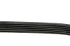 Ремінь П-клиновий Dayco DAYCO 6PK2135 (фото 3)