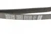 Ремінь П-клиновий Dayco DAYCO 6PK2150S (фото 3)