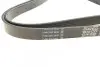Ремінь П-клиновий Dayco DAYCO 6PK2155S (фото 2)