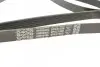 Ремінь П-клиновий Dayco DAYCO 6PK2155S (фото 3)