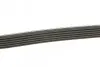 Ремінь П-клиновий Dayco DAYCO 6PK2160 (фото 2)