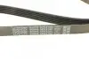 Ремінь П-клиновий Dayco DAYCO 6PK2160 (фото 4)