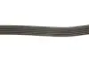 Ремінь П-клиновий Dayco DAYCO 6PK2210 (фото 3)