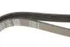Ремінь П-клиновий Dayco DAYCO 6PK2210 (фото 4)