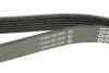 Ремінь П-клиновий Dayco DAYCO 6PK2220K (фото 3)