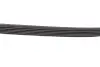 Ремінь П-клиновий Dayco DAYCO 6PK2225 (фото 4)