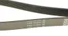 Ремінь П-клиновий Dayco DAYCO 6PK2263 (фото 4)