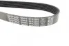Ремінь П-клиновий Dayco DAYCO 6PK2285 (фото 2)