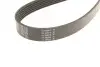Ремінь П-клиновий Dayco DAYCO 6PK2300 (фото 3)