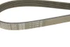 Ремінь П-клиновий Dayco DAYCO 6PK2375 (фото 4)
