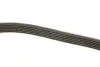 Ремінь П-клиновий Dayco DAYCO 6PK2400 (фото 3)