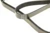 Ремінь П-клиновий Dayco DAYCO 6PK2400 (фото 4)