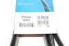 Ремінь П-клиновий Dayco DAYCO 6PK2440 (фото 6)