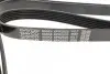 Ремінь П-клиновий Dayco DAYCO 6PK2525 (фото 3)