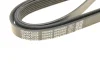 Ремінь П-клиновий Dayco DAYCO 6PK2550 (фото 5)