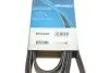 Ремінь П-клиновий Dayco DAYCO 6PK2585 (фото 5)
