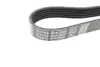 Ремінь П-клиновий Dayco DAYCO 6PK2605 (фото 2)