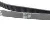 Ремінь П-клиновий Dayco DAYCO 6PK2605 (фото 3)