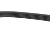 Ремінь П-клиновий Dayco DAYCO 6PK2605 (фото 4)
