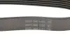 Ремінь П-клиновий Dayco DAYCO 6PK2615 (фото 4)