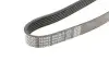 Ремінь П-клиновий Dayco DAYCO 6PK2615 (фото 5)
