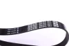 Ремінь П-клиновий Dayco DAYCO 6PK810 (фото 2)