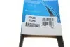 Ремінь П-клиновий Dayco DAYCO 6PK850 (фото 6)