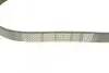 Ремінь П-клиновий DAYCO 6PK900 (фото 3)