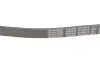 Ремінь П-клиновий DAYCO 6PK905S (фото 4)