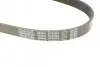 Ремінь П-клиновий Dayco DAYCO 6PK923 (фото 4)