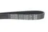 Ремінь генератора Toyota Corolla/Auris/Yaris 1.4 D 04-14 DAYCO 6PK966 (фото 4)