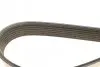 Ремінь П-клиновий Dayco DAYCO 7PK1085S (фото 4)