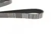 Ремінь П-клиновий Dayco DAYCO 7PK1153 (фото 2)