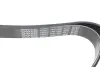 Ремінь П-клиновий Dayco DAYCO 7PK1595 (фото 3)
